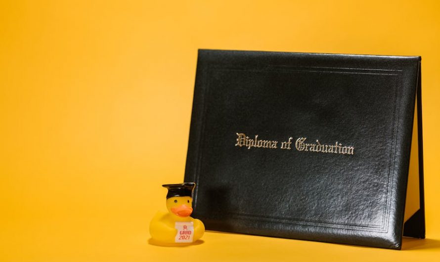 Купить диплом с занесением в реестр цен быстро и надежно