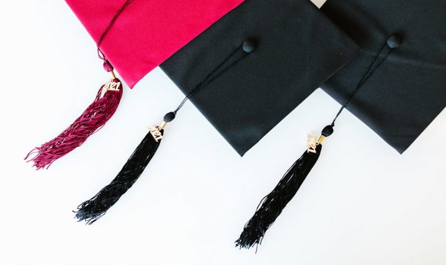 Купить диплом высшего образования с занесением в реестр